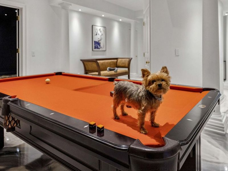 1 Bottomley Crescent, New Albany, OH 43054 Photo 55