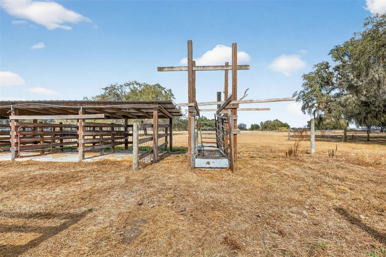 4533 SW 37th Terrace, Bushnell, FL 33513 Photo