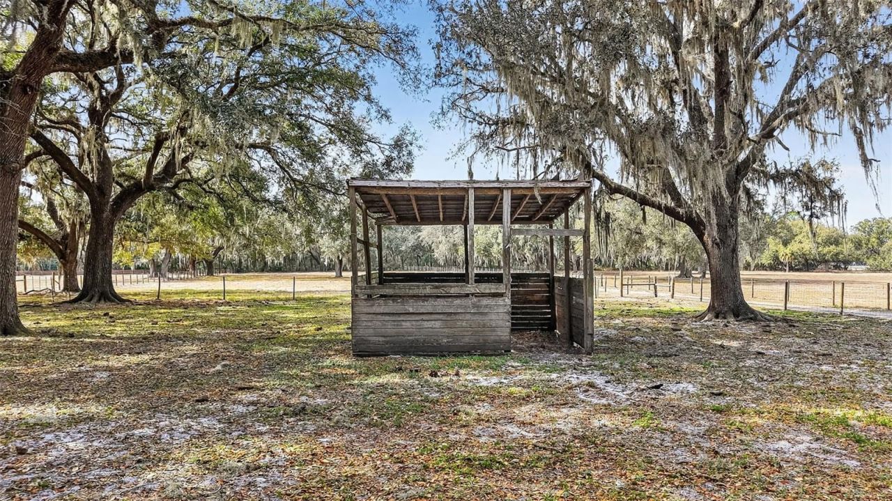 4533 SW 37th Terrace, Bushnell, FL 33513 Photo