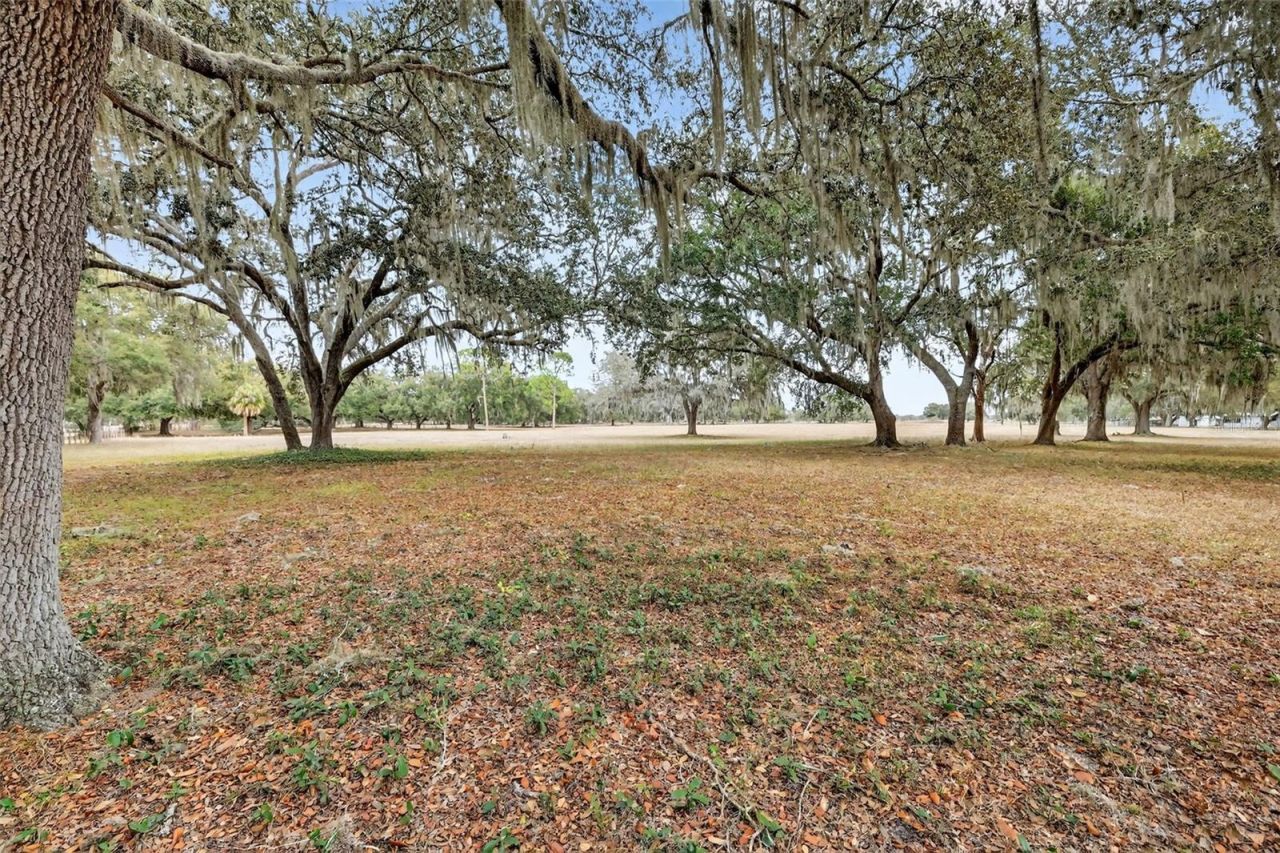 4533 SW 37th Terrace, Bushnell, FL 33513 Photo