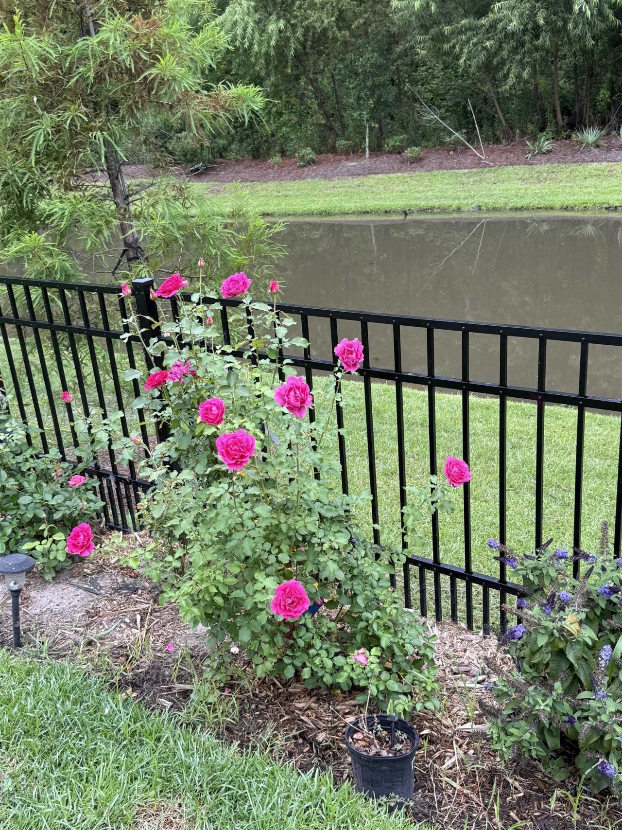 118 Ranch Haven Dr. Photo 57