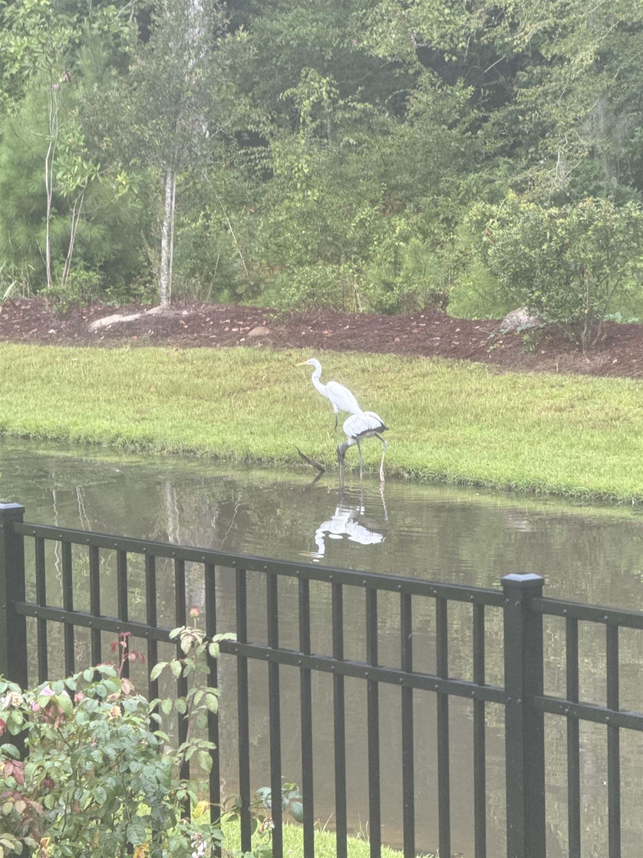 118 Ranch Haven Dr. Photo 58