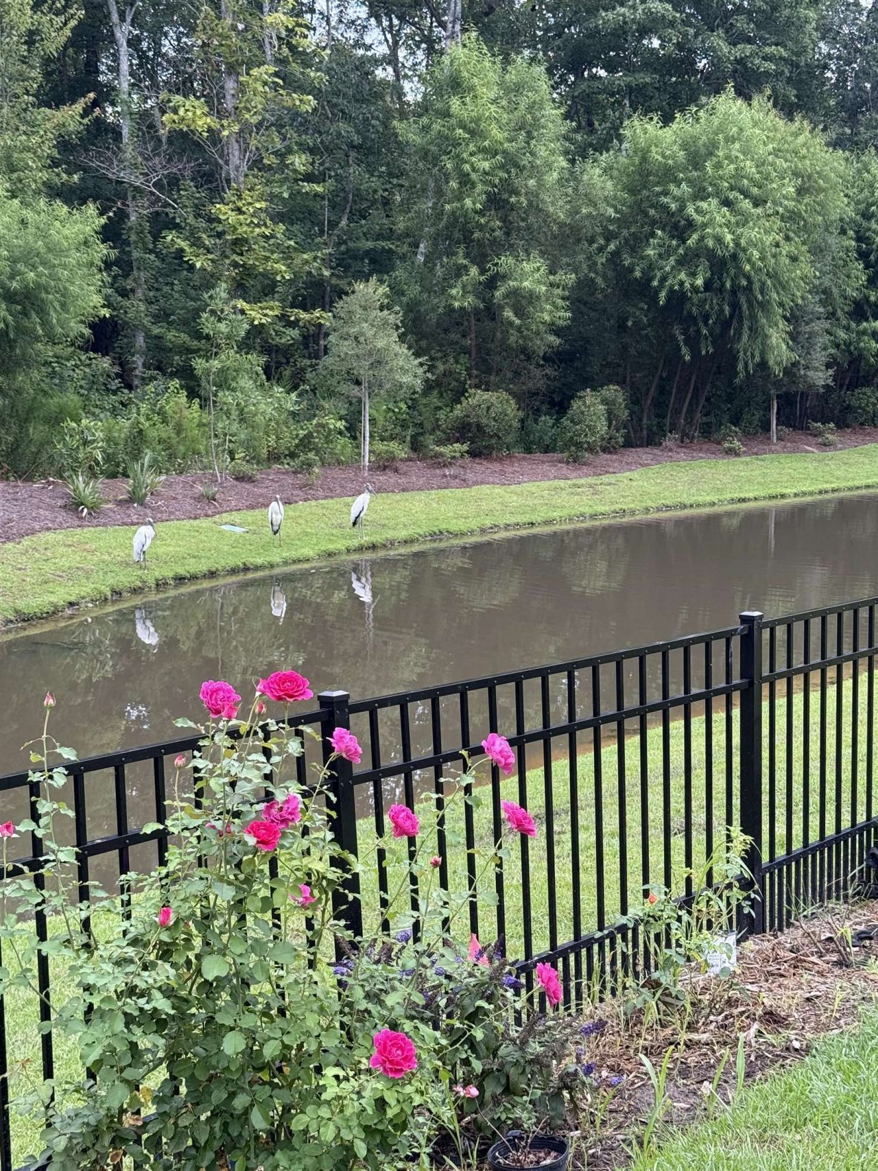 118 Ranch Haven Dr. Photo 59