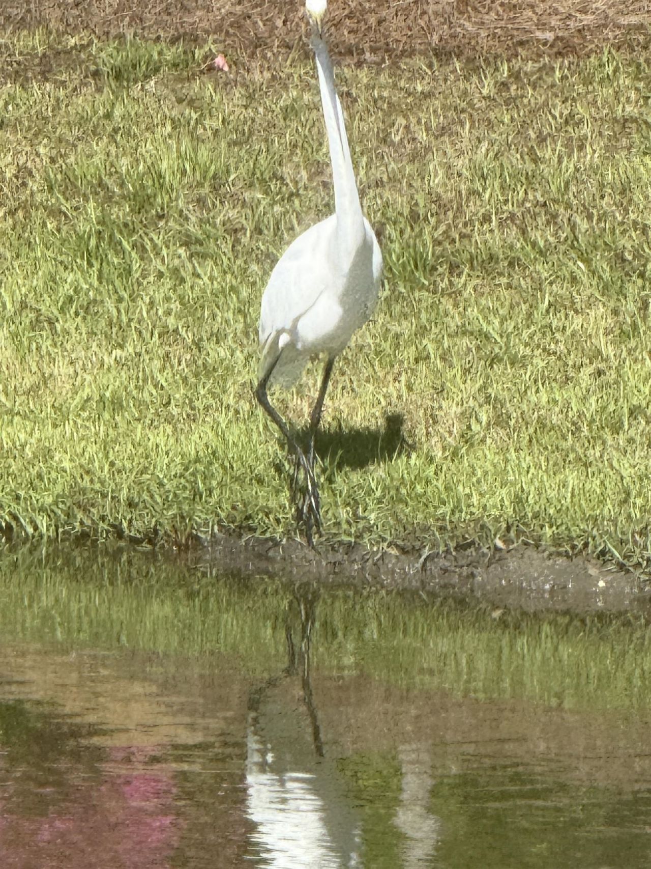 118 Ranch Haven Dr. Photo 61