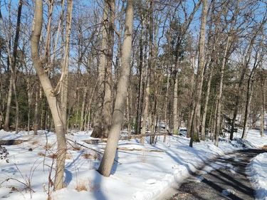 0 DOGWOOD LANE, BENTONVILLE, VA 22610