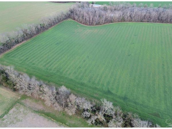 0000 Rocky Rd, Jay, FL 32565