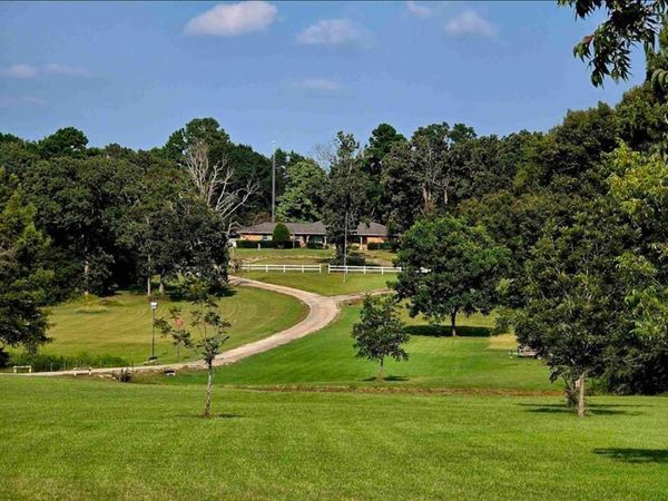 7991 FM 314, Ben Wheeler, TX 75754