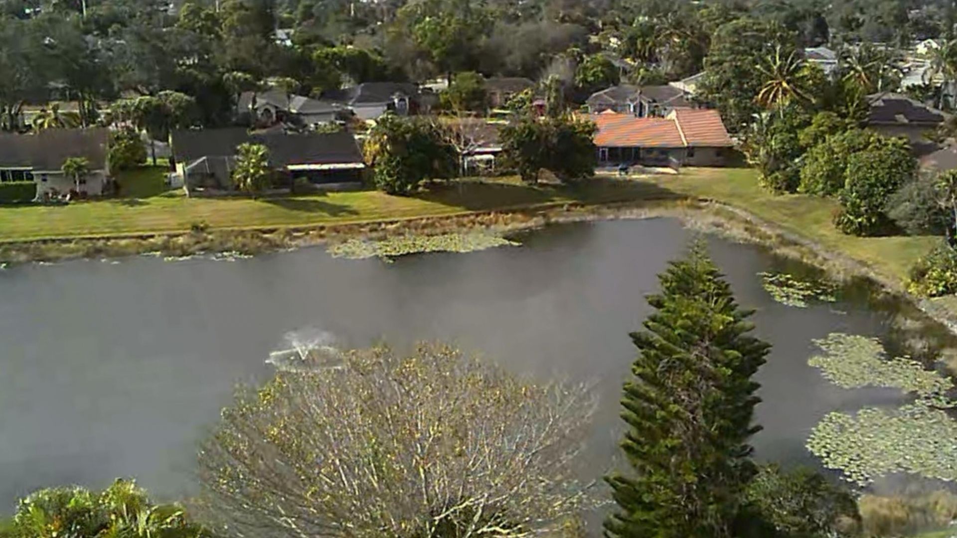 117 Elysium Drive, Royal Palm Beach, FL 33411 Photo