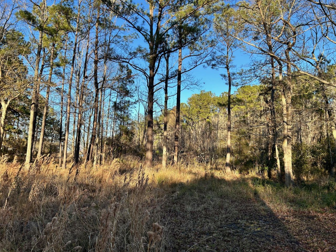 1420 Pinopolis Road Photo 10