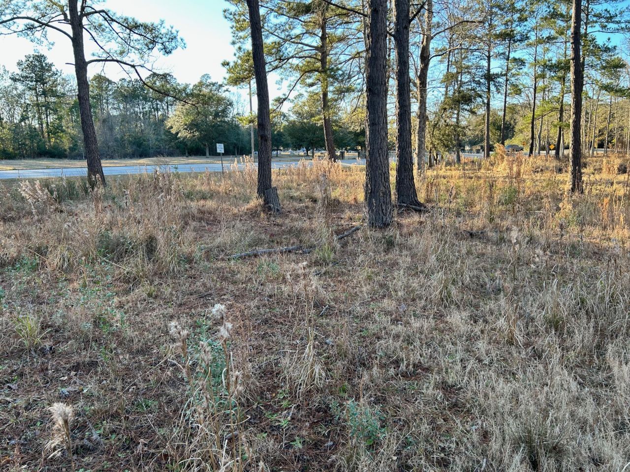 1420 Pinopolis Road Photo 11