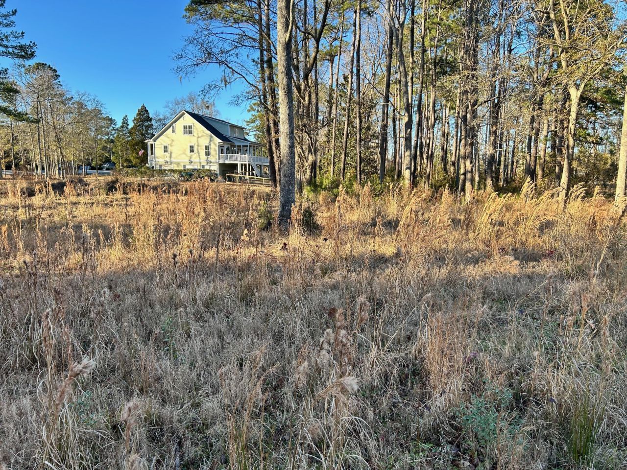 1420 Pinopolis Road Photo 13