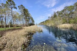 1420 Pinopolis Road photo 4