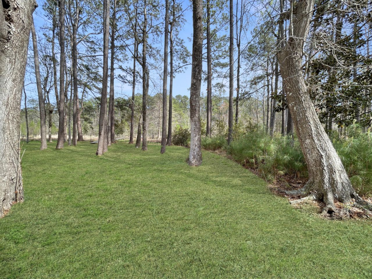 1420 Pinopolis Road Photo 4