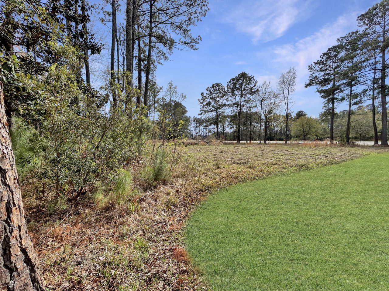 1420 Pinopolis Road Photo 5