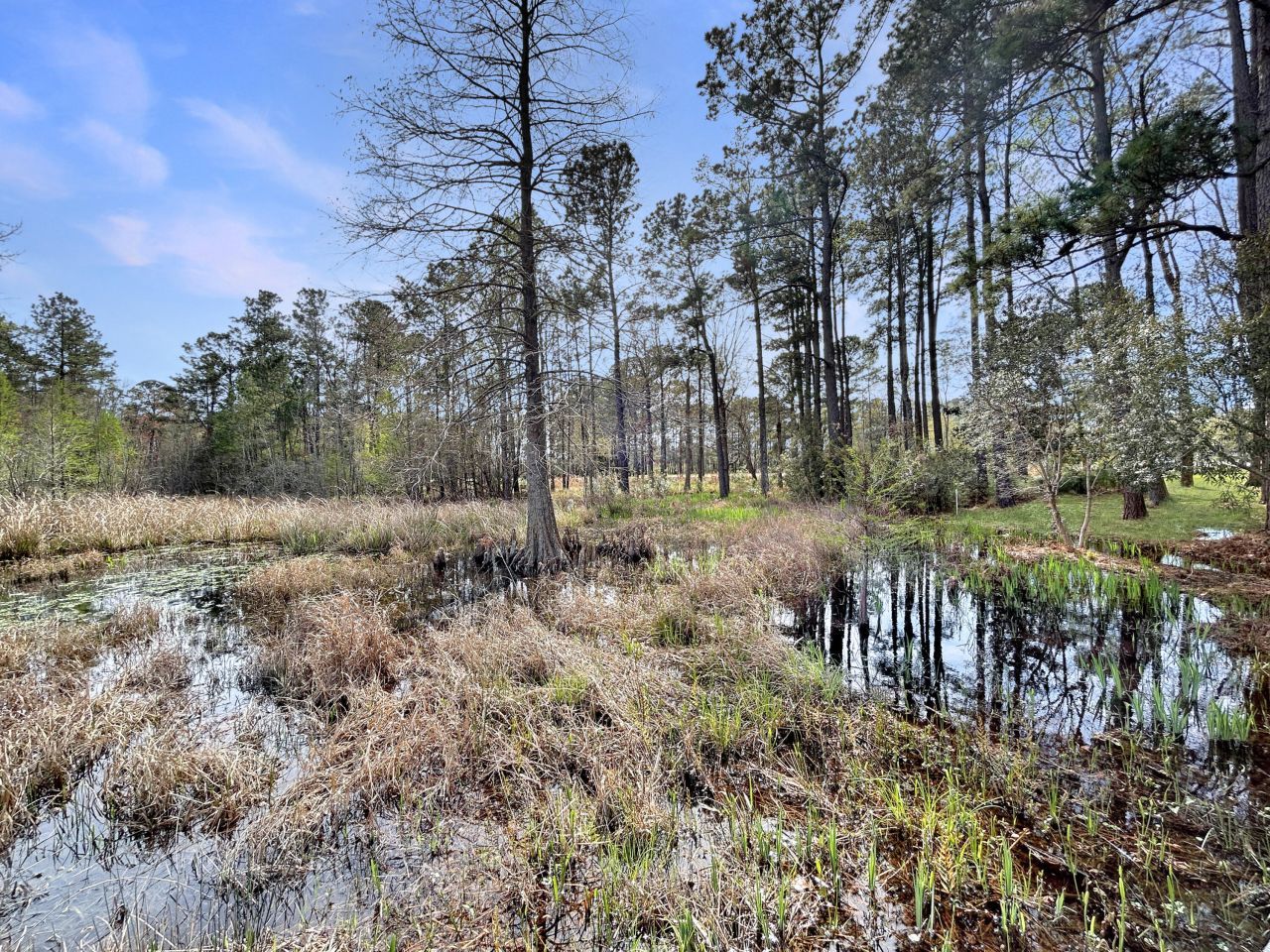 1420 Pinopolis Road Photo 6