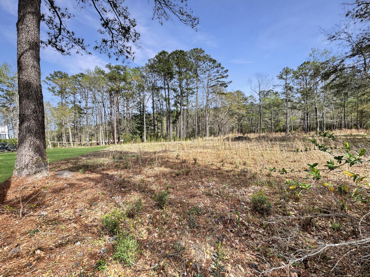 1420 Pinopolis Road Photo 9