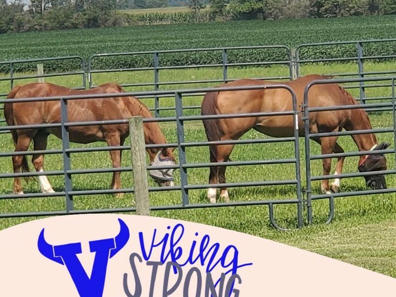 4505 N Alcony Conov Road, Casstown, OH 45312 Photo 34