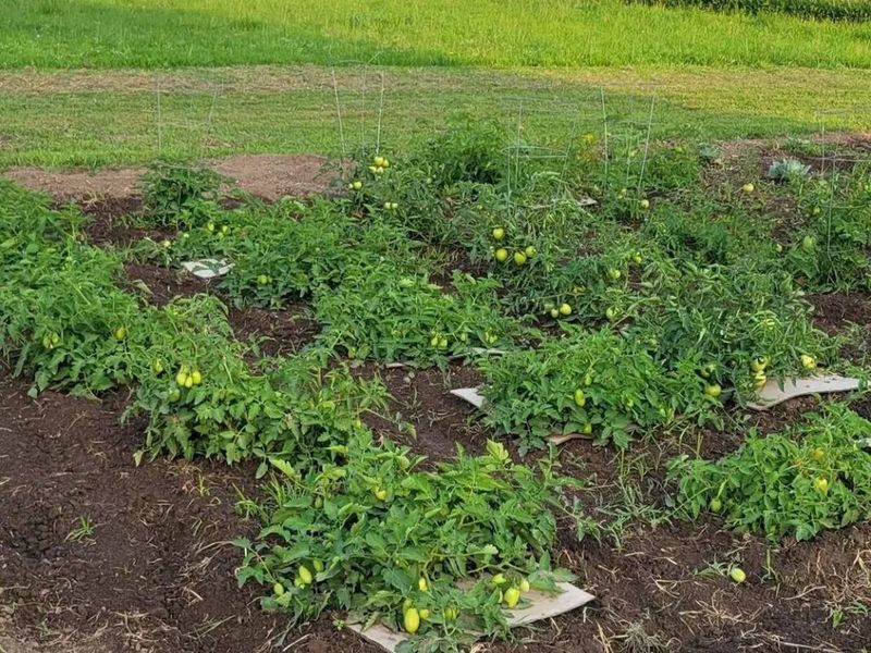 4505 N Alcony Conov Road, Casstown, OH 45312 Photo 38