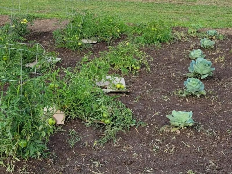 4505 N Alcony Conov Road, Casstown, OH 45312 Photo 41