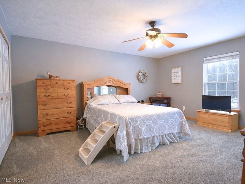 6615 Clay Street, Thompson, OH 44086 Photo 25