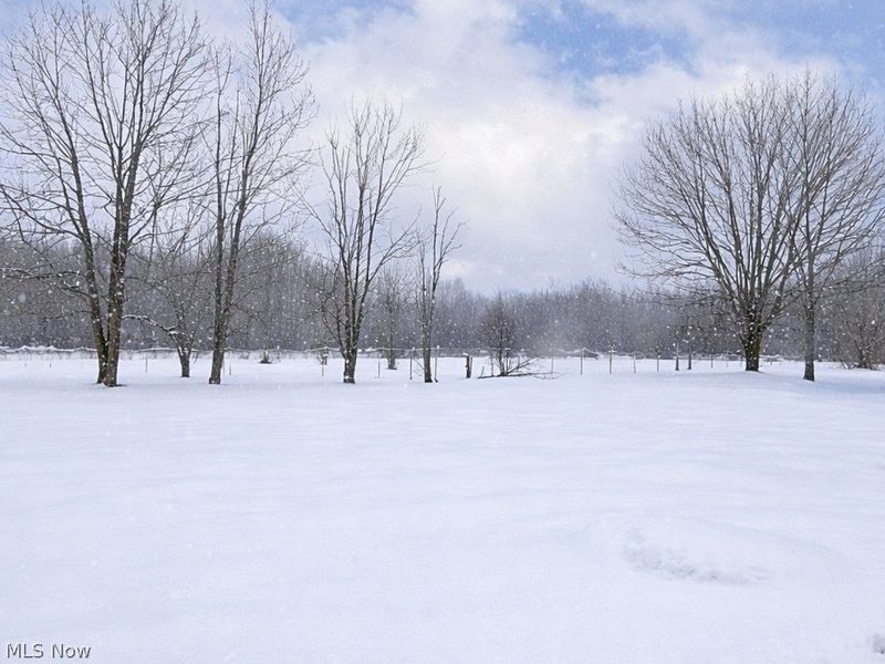 6615 Clay Street, Thompson, OH 44086 Photo 41