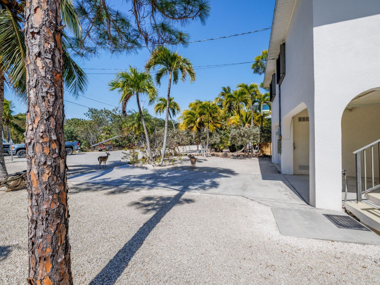 1539 Lantana Lane, Big Pine Key, FL 33043 Photo