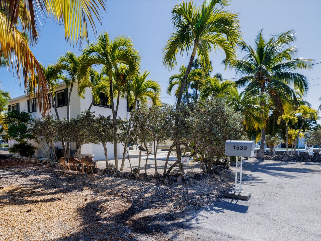 1539 Lantana Lane, Big Pine Key, FL 33043 Photo