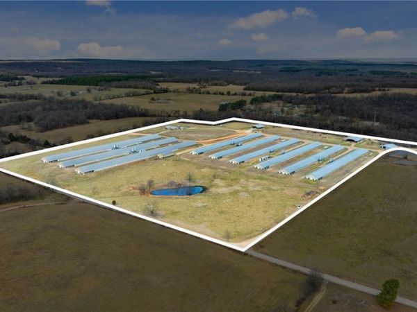 17080 Lonnie Graggs Road, Lincoln, AR 72744