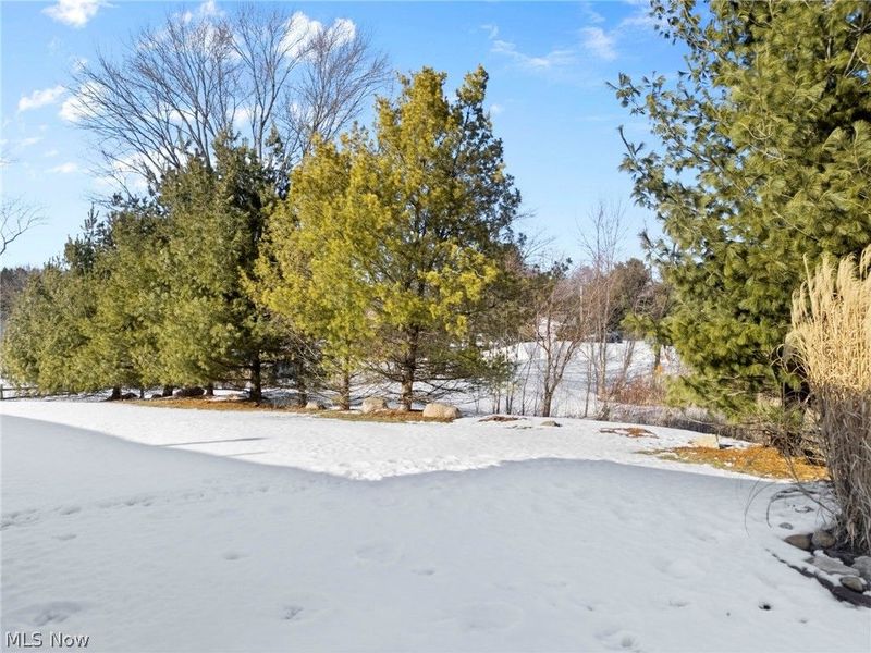 7331 Jimmie Street SW, Massillon, OH 44646 Photo 26