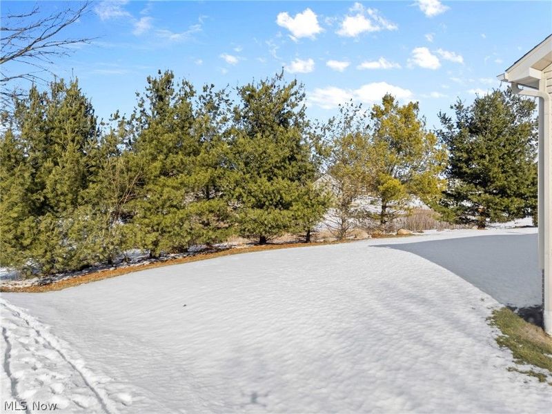 7331 Jimmie Street SW, Massillon, OH 44646 Photo 29