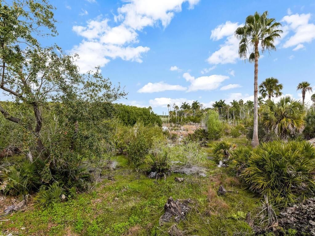 26372 Mahogany Pointe Ct, Bonita Springs, FL 34134 Photo