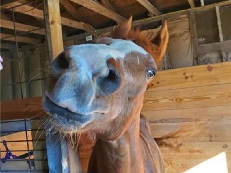 4505 N Alcony Conov Road, Casstown, OH 45312 Photo 10