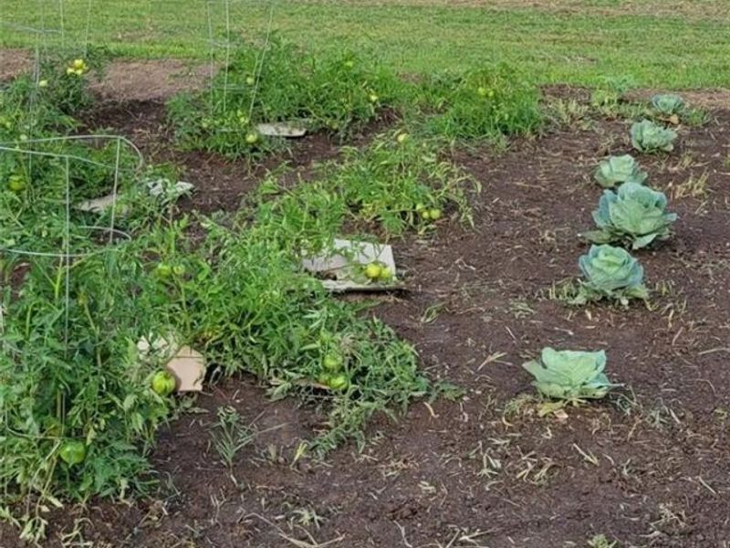 4505 N Alcony Conov Road, Casstown, OH 45312 Photo 37