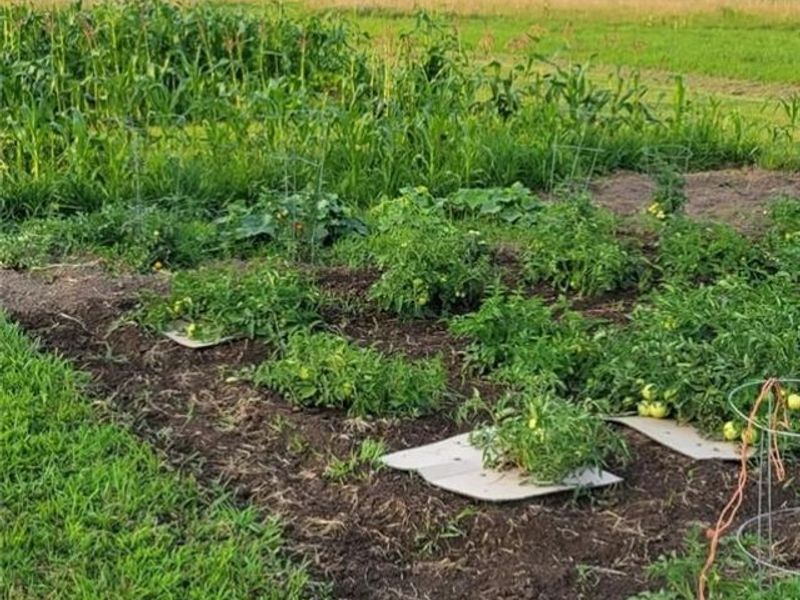 4505 N Alcony Conov Road, Casstown, OH 45312 Photo 38