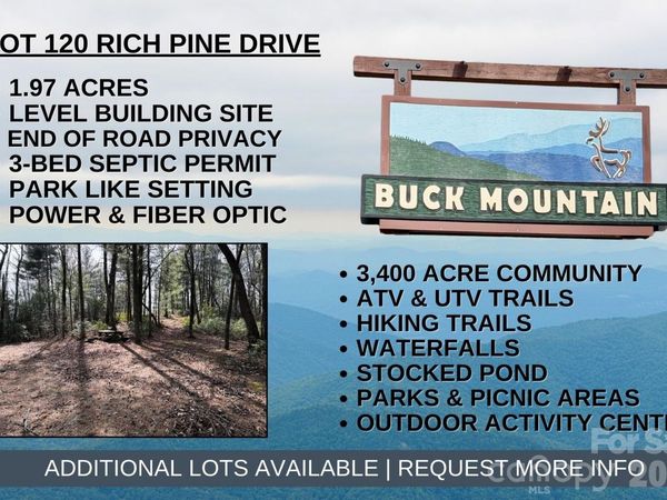 TBD Rich Pine Drive , Purlear, NC 28665