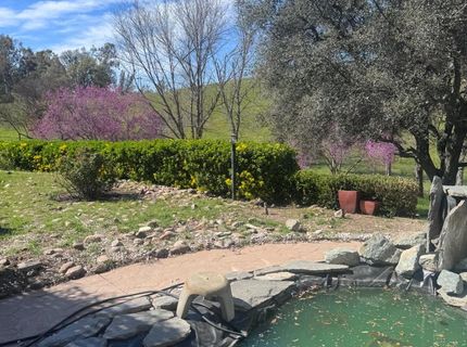11137 Camanche Pkwy #s, Unit S, Wallace, CA 95254 Photo