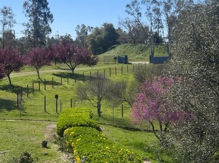 11137 Camanche Pkwy #s, Unit S, Wallace, CA 95254 Photo