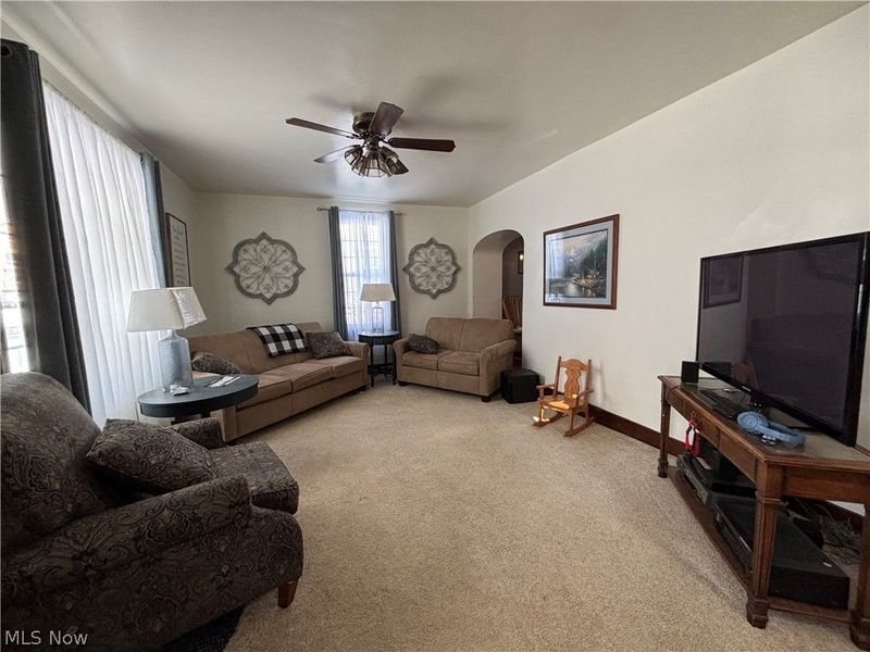 226 S Elm Street, Columbiana, OH 44408 Photo 10