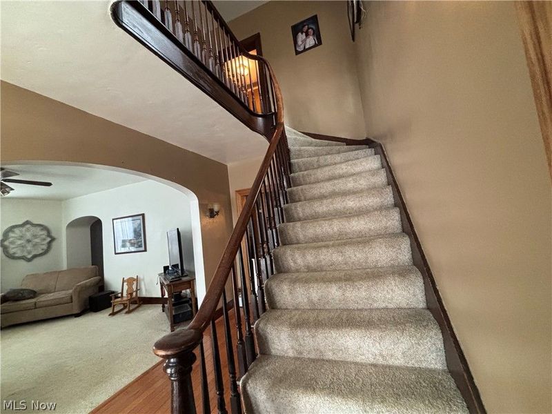 226 S Elm Street, Columbiana, OH 44408 Photo 13