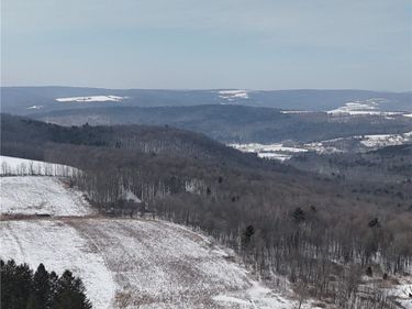 55 Kimble Road, Beaver Dams, NY 14812