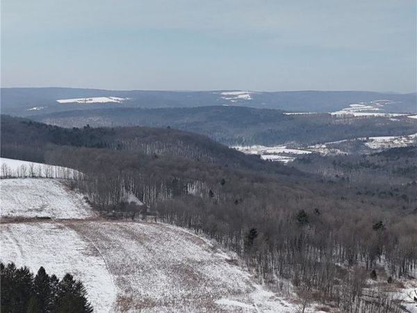 55 Kimble Road, Beaver Dams, NY 14812