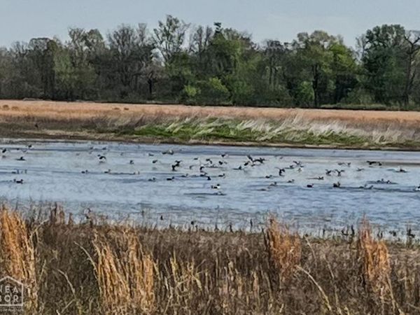 1962 Upper Lockhart Rd., Cord, AR 72524