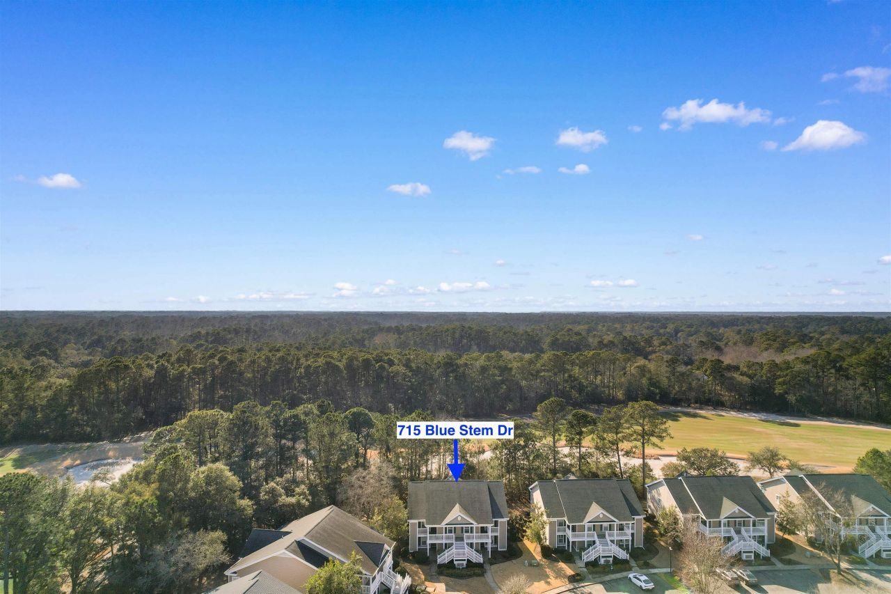 715 Blue Stem Dr. Photo 35