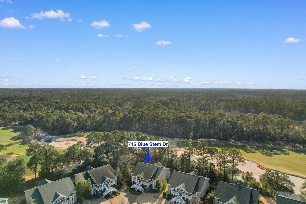 715 Blue Stem Dr. Photo 37