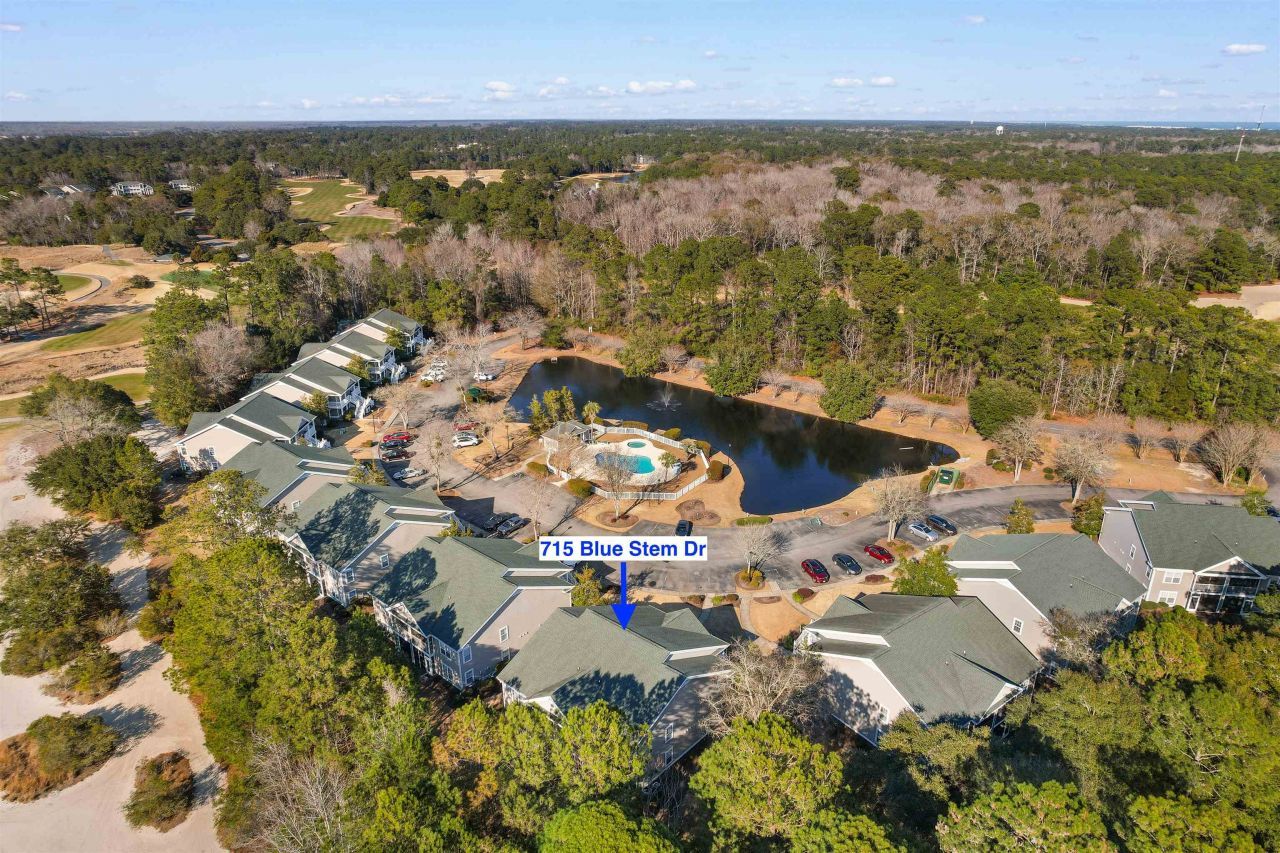 715 Blue Stem Dr. Photo 43