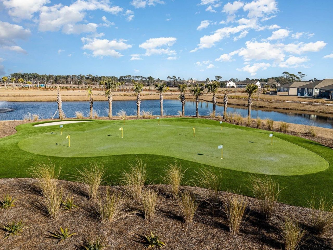 1233 Coneflower Way Photo 35