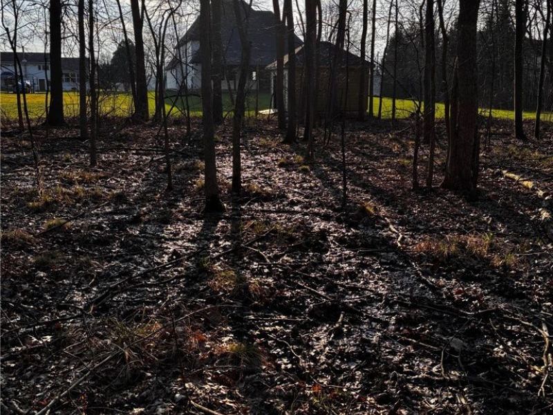 8860 Sharp Road, Olmsted Township, OH 44138 Photo 31