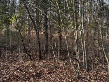 0 BAGWELL DRIVE, SCOTTSBURG, VA 24589