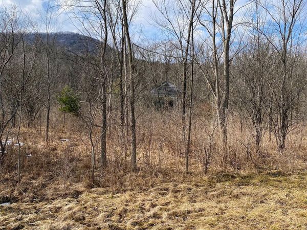 890 Alt-Voorh Road, Altamont, NY 12009