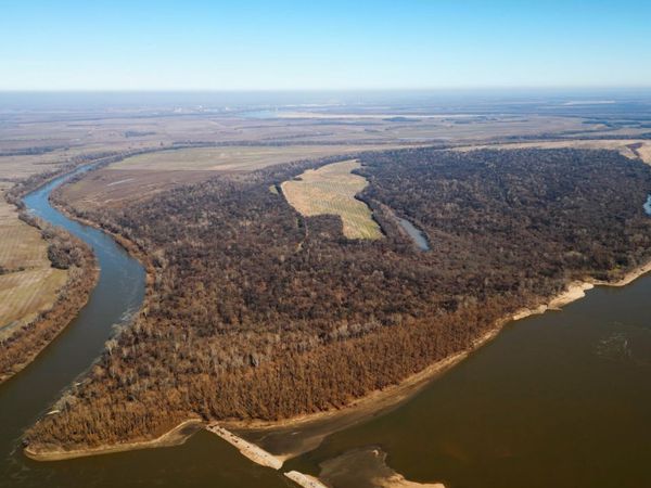 0 Island 26 MS River, Ripley, TN 38063